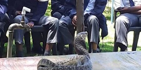 265007479_1774772039577286_4301018398322292770_n