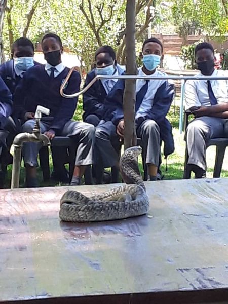 265007479_1774772039577286_4301018398322292770_n